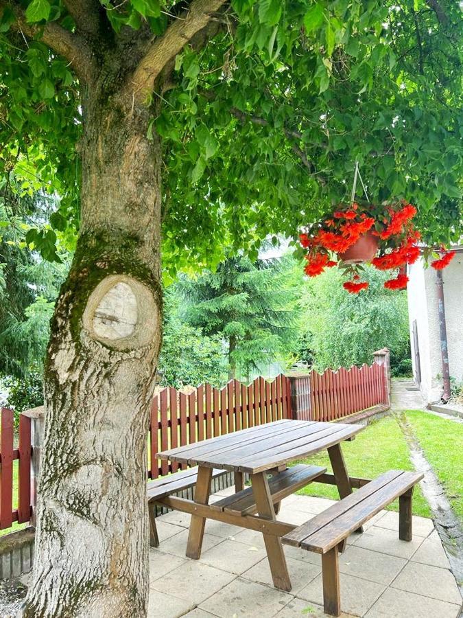 GOŁĘBI PUCH - Przytulny Apartament z Ogrodem, Kudowa Zdrój Exterior foto